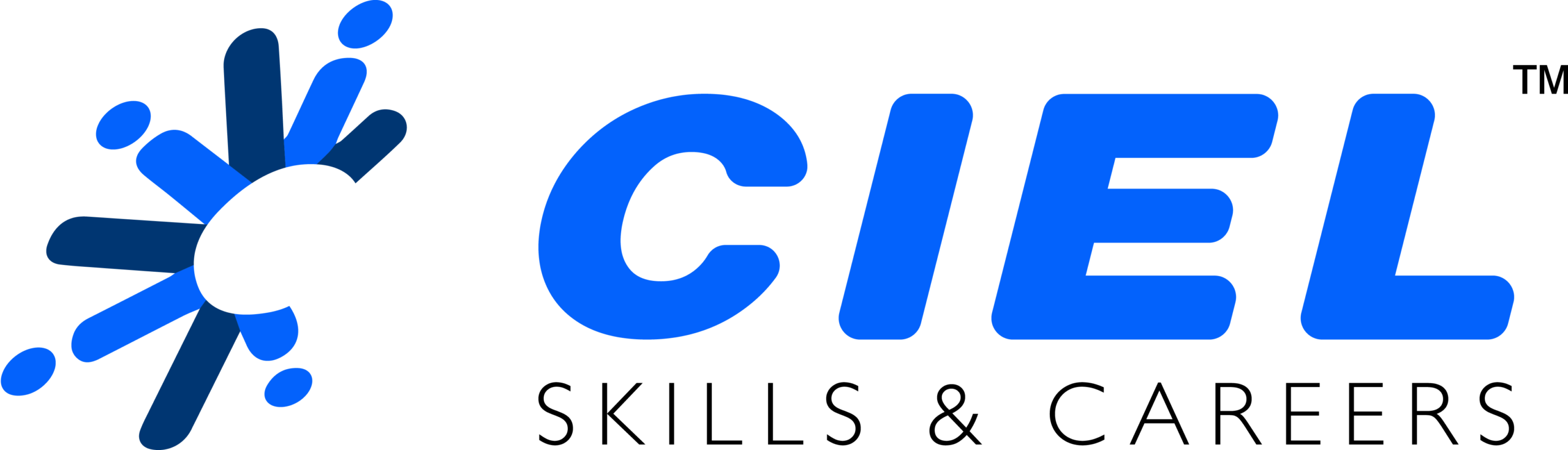 cielskillsandcareers.com